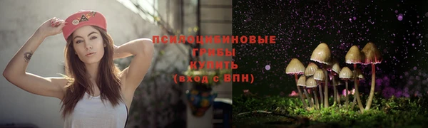 спиды Нея
